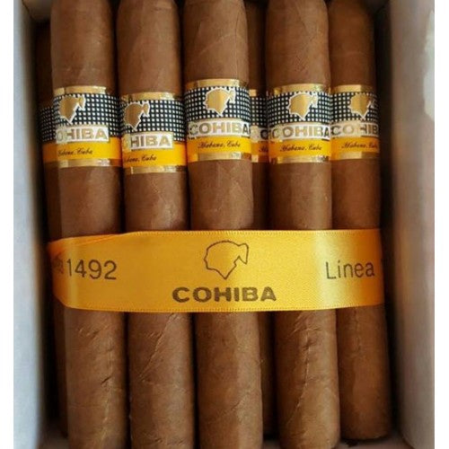 Cohiba Siglo VI (25)